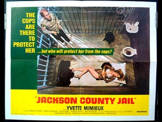 jackson county jail 1976, usa crime drama