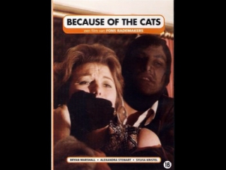 because of the cats (1973)